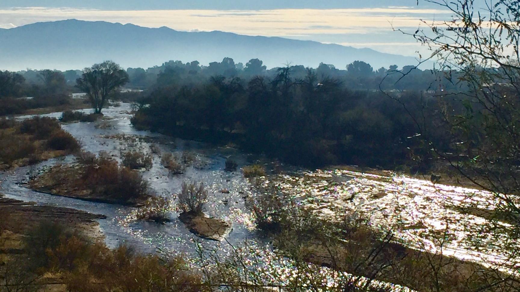 Tanque Verde Creek comes alive
